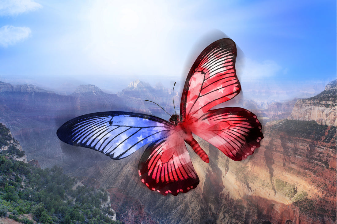 Red, white, and blue butterfly over canton